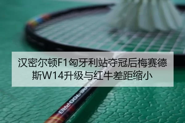 han-mi-er-dun-xiong-ya-li-zhan-duo-guan-hou-mei-sai-de-si-sheng-ji-yu-hong-niu-cha-ju-suo-xiao-3-314.jpg